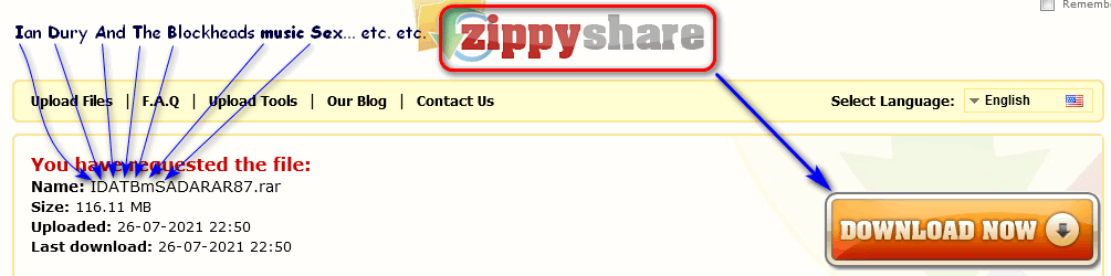 Zippyshare_com - IDATBmSADARAR87_rar_2021-07-28.png
